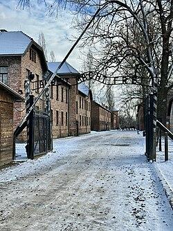 Camp de concentració d'Auschwitz-Birkenau